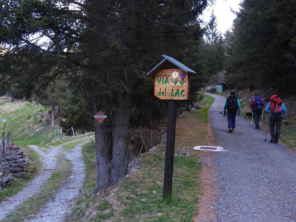 Rifugio Al Lago Del Mortirolo In Inverno Raggiungibile Solo A Piedi Monno Eksteriør bilde